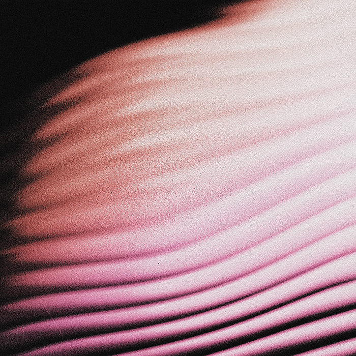 POLAR - Everywhere, Everything CD Digisleeve POLAR - Everywhere, Everything CD Digisleeve