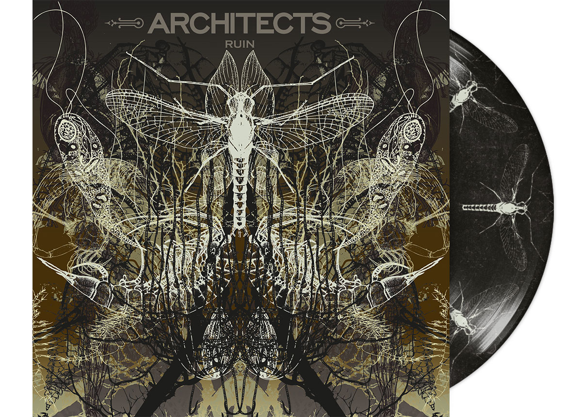 ARCHITECTS - Ruin 12" LP - PICTURE LP
