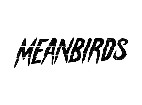 Meanbirds